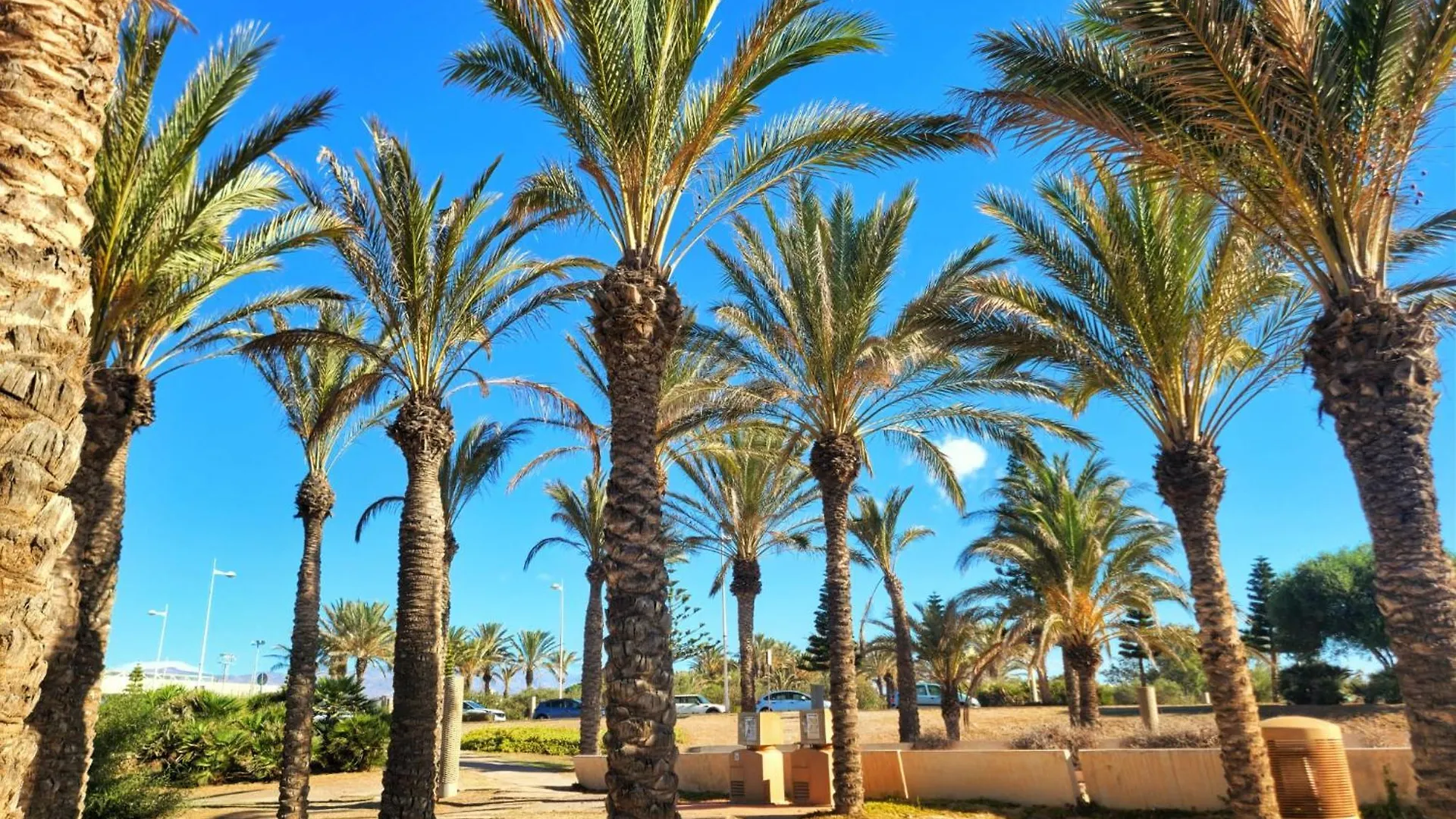 Apto Dulcessuenos, Retamar, Cabo De Gata レタマル 0*,  スペイン